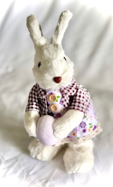 Miss Viola Bunny Rabbit